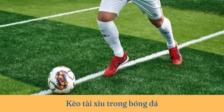 Tìm Hiểu Cách Chơi Kèo Tài Xỉu Bóng Đá: Cơ Hội Thắng Lớn